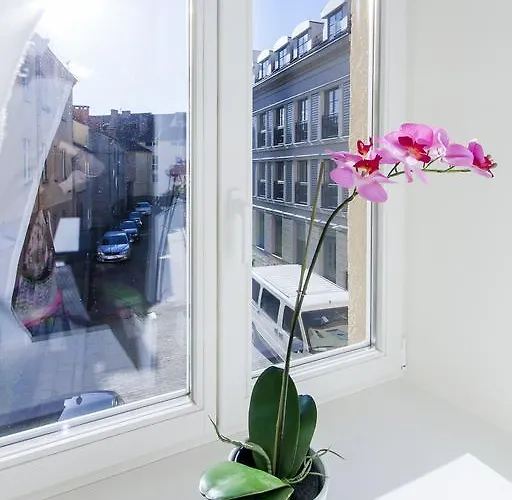 Aparthotel Real House